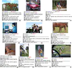 Multi Spatial Relation Detection in Images